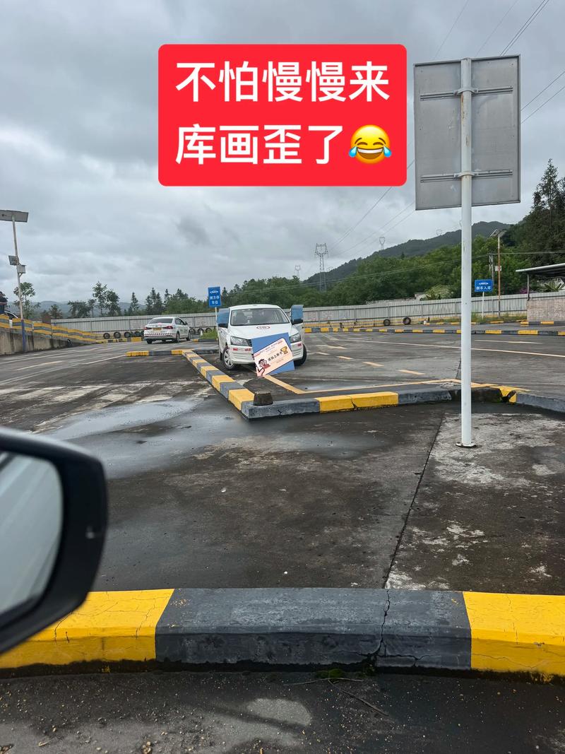 驾校奇葩图鉴 那些年我们一起笑过的科二